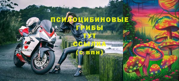 ALPHA-PVP Армянск