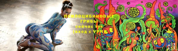 ешки Алзамай
