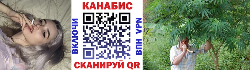 Каннабис план  KRAKEN ONION  Оленегорск 